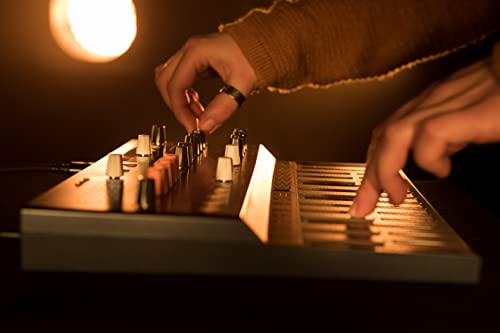 Arturia Microfreak Hybrid Analog/Digital Synthesizer w/ Advanced Digital Oscillators