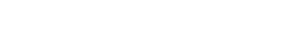 SE Electronics