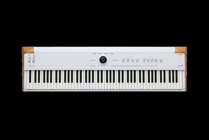 Arturia ASTROLAB 88 Avant-Garde Stage Keyboard