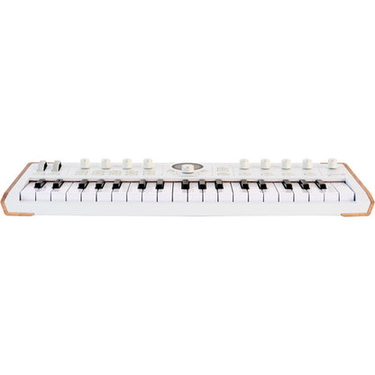 Arturia AstroLab 37 Avant-garde Stage Keyboard