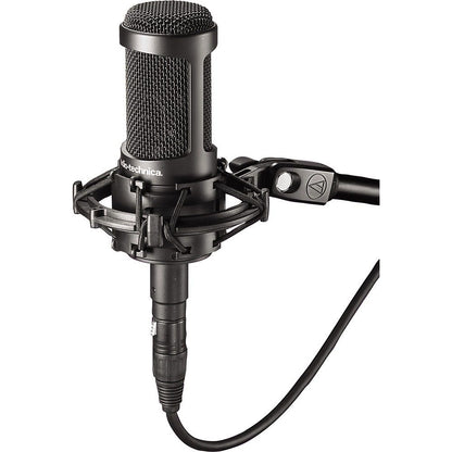 Audio-Technica AT2050 Multi-Pattern Large Diaphragm Condenser Microphone