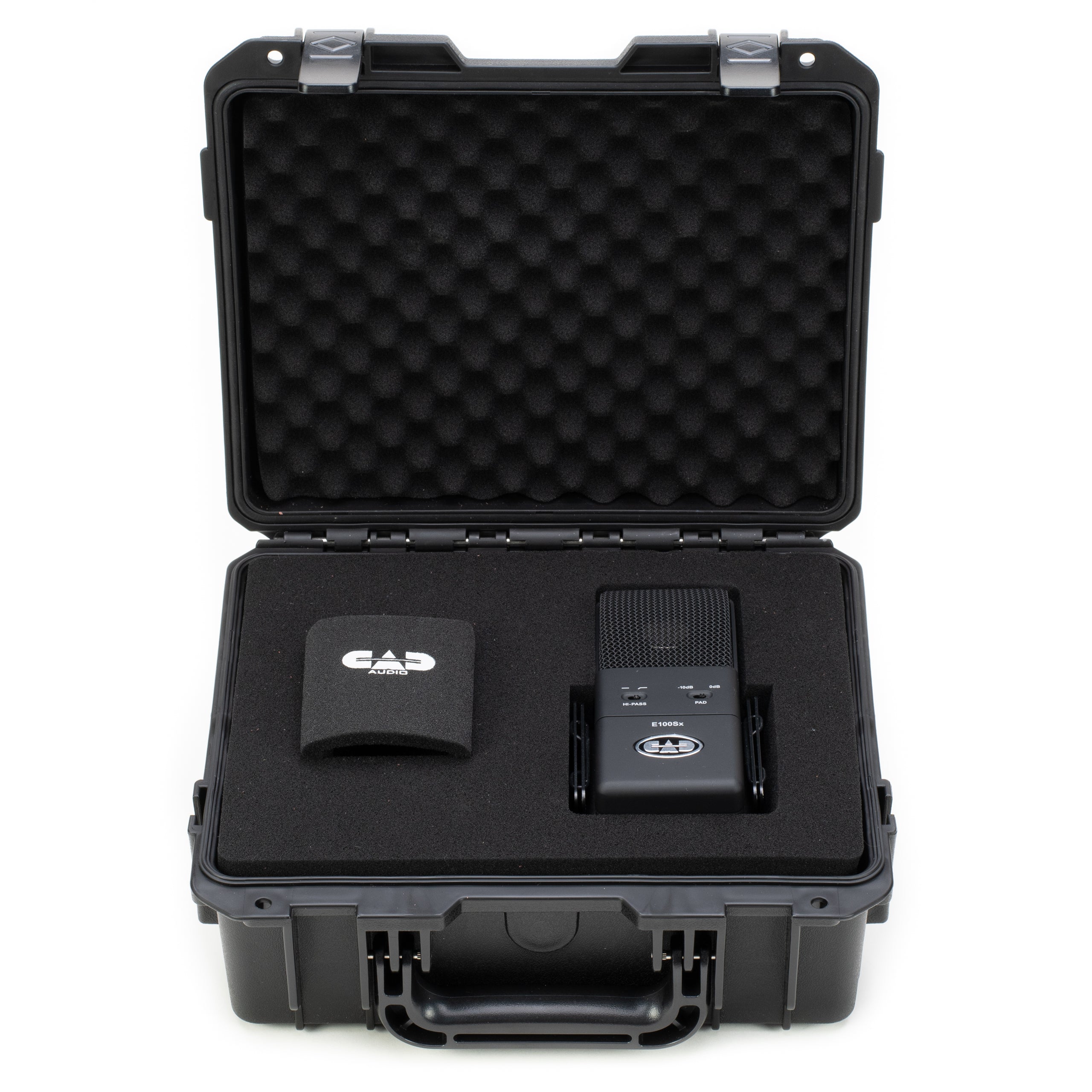 CAD E100Sx Large Diaphragm Supercardioid Condenser Microphone with EC100 Molded Case for Equitek E100