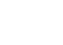 American DJ